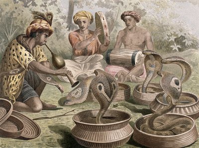Cobra, lámina de Brehms Tierleben: Allgemeine Kunde des Tierreichs, vol.7, p.355, publicado por Bibliographisches Institut, 1892 de German School