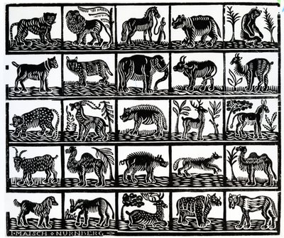 Colección de animales de German School