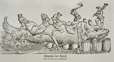 Descuartizando una ballena (xilografía) de German School