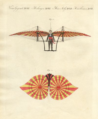 Máquina voladora de Degen (grabado coloreado) de German School
