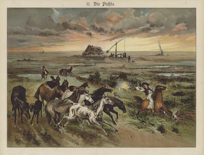 Die Pukta de German School