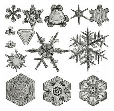 Diferentes formas de copos de nieve de German School