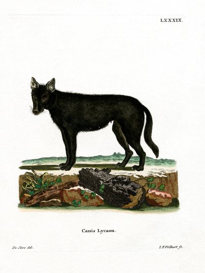 Lobo de Madera del Este de German School