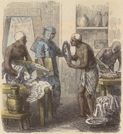 Embalsamamiento de animales en el Antiguo Egipto de German School