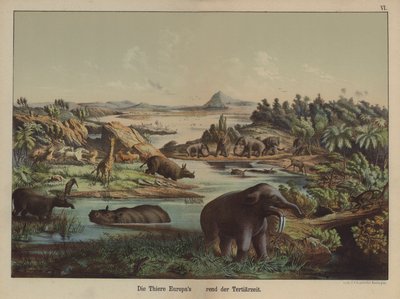 Animales europeos del Período Terciario de German School