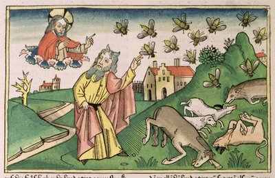 Éxodo 8 20-32 Las siete plagas de Egipto: Moisés y el enjambre de moscas, de la "Biblia de Nuremberg (Biblia Sacra Germanaica)" (xilografía coloreada) de German School
