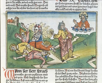 Éxodo 9:8-12 Las siete plagas de Egipto: Moisés y la plaga de úlceras, de la Biblia de Núremberg (Biblia Sacra Germanaica) de German School