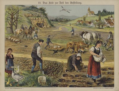 Agricultura de German School