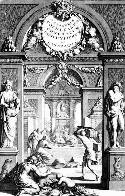 Frontispicio de Thesaurus imaginum piscium testaceorum por Georg Eberhard Rumphius, edición publicada en 1739 de German School
