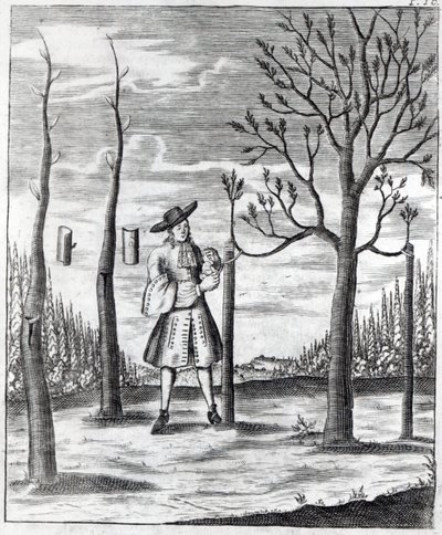 Jardinería y enfermedades de las plantas, una ilustración de 
