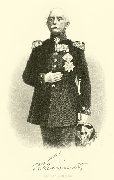 General von Steinmetz de German School