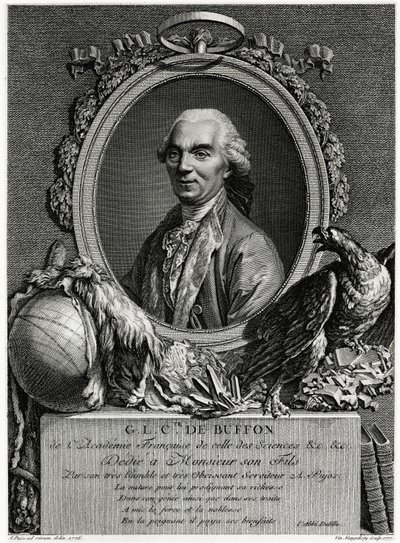 George Louis Leclerc Conde de Buffon de German School