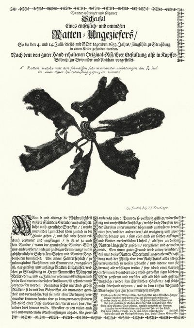 Ratas gigantes atrapadas en Estrasburgo en 1683 de German School
