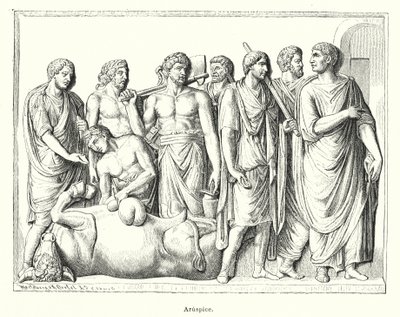 Haruspex, sacerdote romano antiguo que examinaba las entrañas de animales sacrificados para predecir el futuro de German School