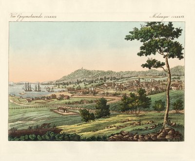 Hobart Town en la Tierra de Van Diemen de German School