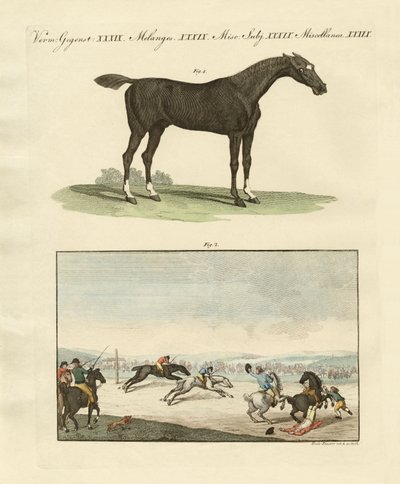Carreras de caballos en Inglaterra de German School