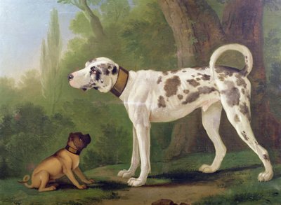Sabueso y terrier de German School