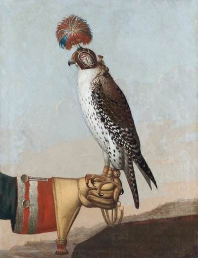 Gerifalte islandés, 1759 de German School