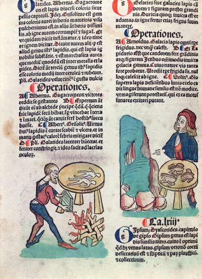 Página ilustrada de Hortus Sanitatis, 1491 (xilografía coloreada) de German School