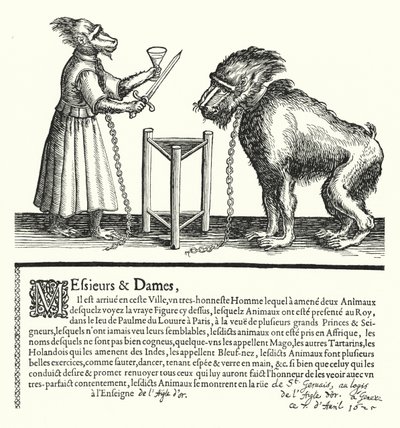 Invitación a una exposición de simios y monos de German School