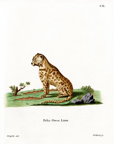 Jaguar de German School