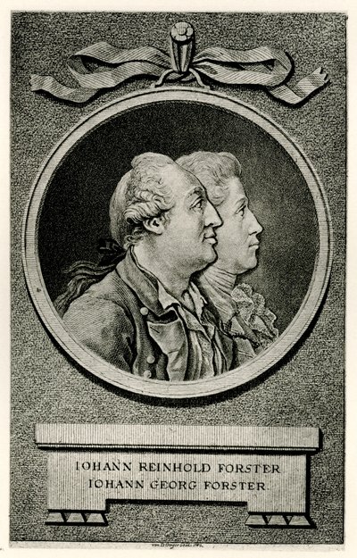 Johann Georg Forster de German School