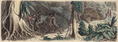 Selva en Brasil de German School