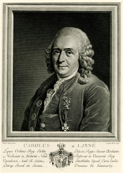 Carlos Linneo de German School