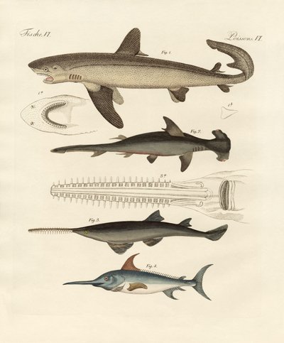 Grandes peces de presa de German School