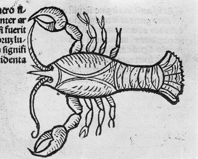 Le Cancer - en Tratado por Johannes Angeli De Magnisconnectionibue annorum revolutionibus ac eorum pefectionibus. Augsburgo, Erhard Ratdolt de German School