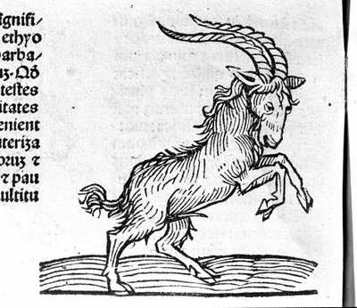 El Capricornio - en Tratado de Johannes Angeli De Magnisconnectionibue annorum revolutionibus ac eorum pefectionibus. Augsburgo, Erhard Ratdolt de German School