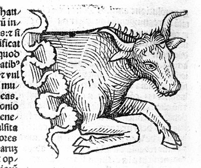 El Tauro - en Tratado de Johannes Angeli De Magnisconnectionibue annorum revolutionibus ac eorum pefectionibus. Augsburgo, Erhard Ratdolt de German School