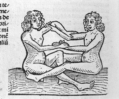 Les Gemini - en Traité de Johannes Angeli De Magnisconnectionibue annorum revolutionibus ac eorum pefectionibus. Augsburgo, Erhard Ratdolt de German School