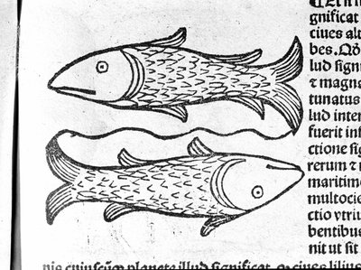 Los Piscis - en Tratado de Johannes Angeli De Magnisconnectionibue annorum revolutionibus ac eorum pefectionibus. Augsburgo, Erhard Ratdolt de German School