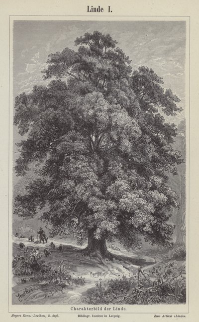 Árbol de tilo de German School