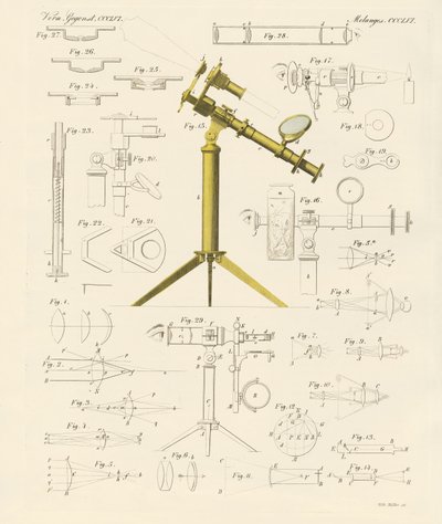 Lupa y entretenimientos microscópicos de German School