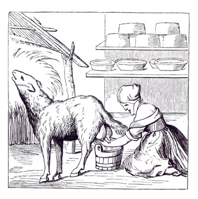 Fabricación de quesos en Suiza, según un grabado en madera en Cosmographie Universelle de Munster, publicado en 1549 de German School