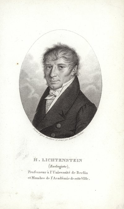 Martin Lichtenstein de German School