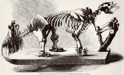 Esqueleto de Megatherium en el Museo Británico de German School