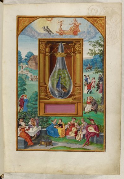 Ms Harley 3469, f.28 La cola de pavo real, el cuarto tratado, de 