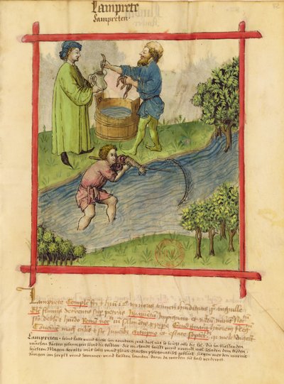 Ms Lat 9333 f.82 Pescando anguilas, del Tacuinum Sanitatis de German School