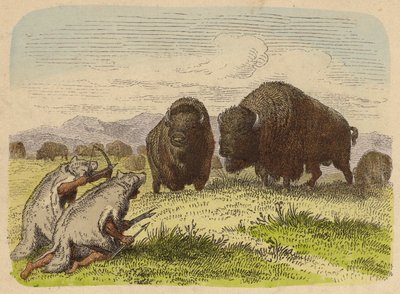 Nativos americanos con pieles de lobo cazando búfalos (grabado coloreado) de German School
