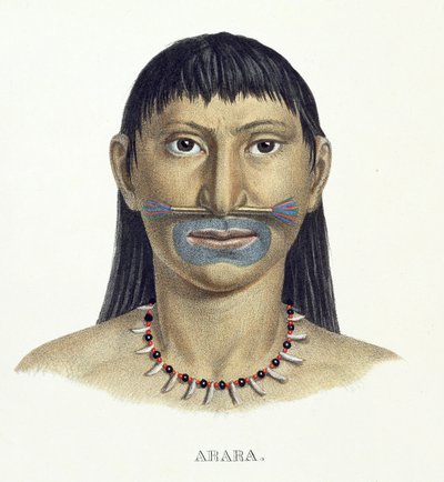 Hombre nativo de la tribu Arara con pintura facial azul, del Atlas de un viaje en Brasil de Johann Baptist von Spix (1781-1826) y Karl Friedrich Philipp Martius (1794-1868), publicado c.1835-50 de German School