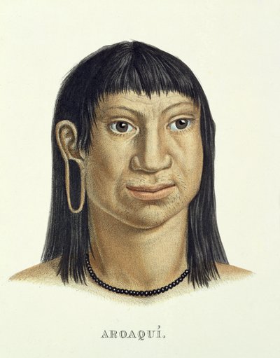 Hombre nativo de la tribu Aroaqui, del Atlas de un viaje en Brasil de Johann Baptist von Spix (1781-1826) y Karl Friedrich Philipp Martius (1794-1868), publicado c.1835-50 de German School