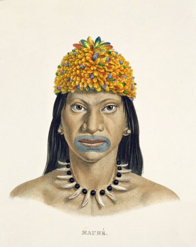 Hombre nativo de la tribu Mauhe, con tocado de pequeñas plumas azules y naranjas, del Atlas de un viaje en Brasil de Johann Baptist von Spix (1781-1826) y Karl Friedrich Philipp Martius (1794-1868) de German School