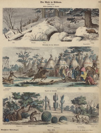 América del Norte: paisaje invernal en Canadá; Nativos Americanos corriendo; Colorado de German School