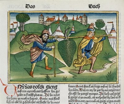 Números 13:23 Las Uvas de Escol, de la Biblia de Núremberg (Biblia Sacra Germanaica) de German School