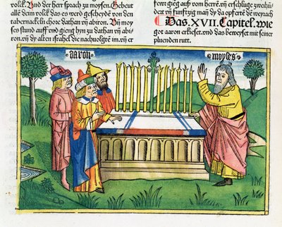 Números 17:1-11 La vara de Aarón florece en el altar, de la Biblia de Núremberg (Biblia Sacra Germanaica) de German School