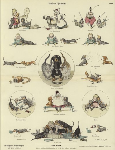 Nuestros Dachshunds de German School