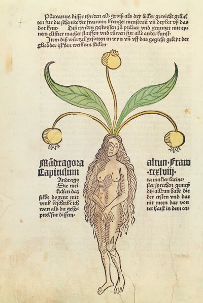 Página de un libro impreso de German School
